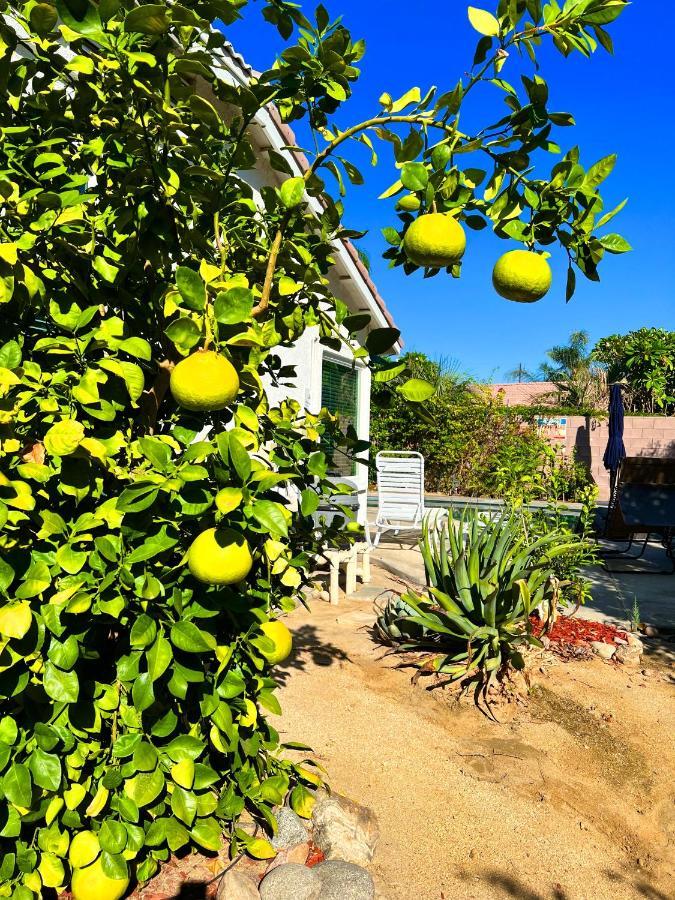 3 Bedroom House With Private Pool, Spa&Golf Course! لا كينتا المظهر الخارجي الصورة